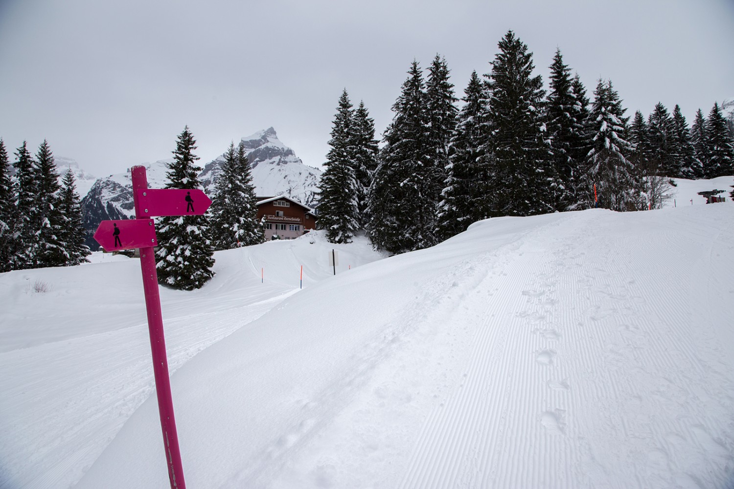 Auf der Gerschnialp verlaufen Skipiste und Winterwanderweg nebeneinander. Bilder: Markus Ruff