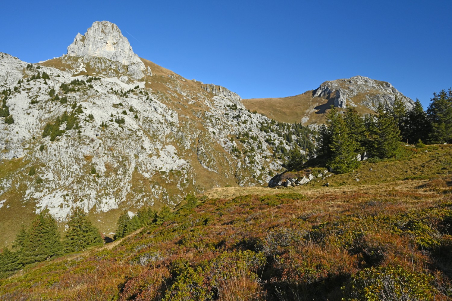 Die Landschaft auf Taney prägen spitzige weisse Felszacken. Bild: natur-welten.ch