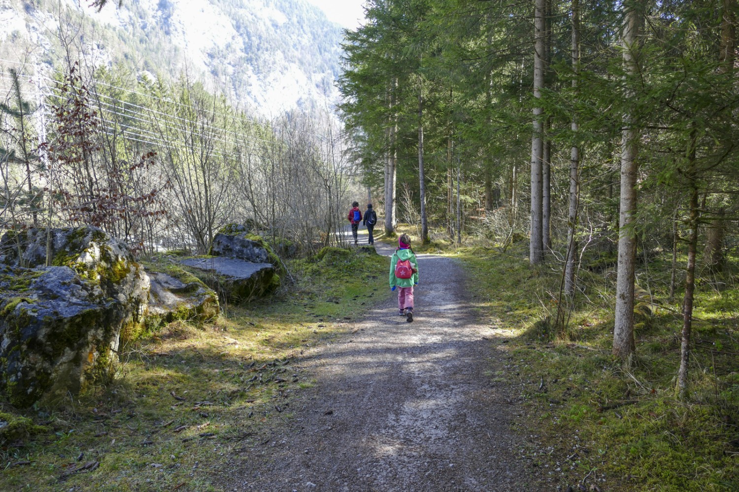 De la vallée de la Simme au lac de Thoune