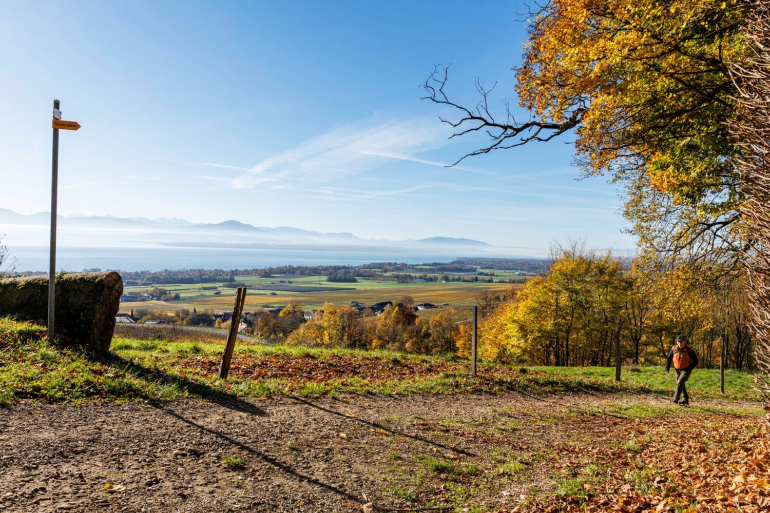 Aussicht von Bugnaux über den Rebberg und den Genfersee.