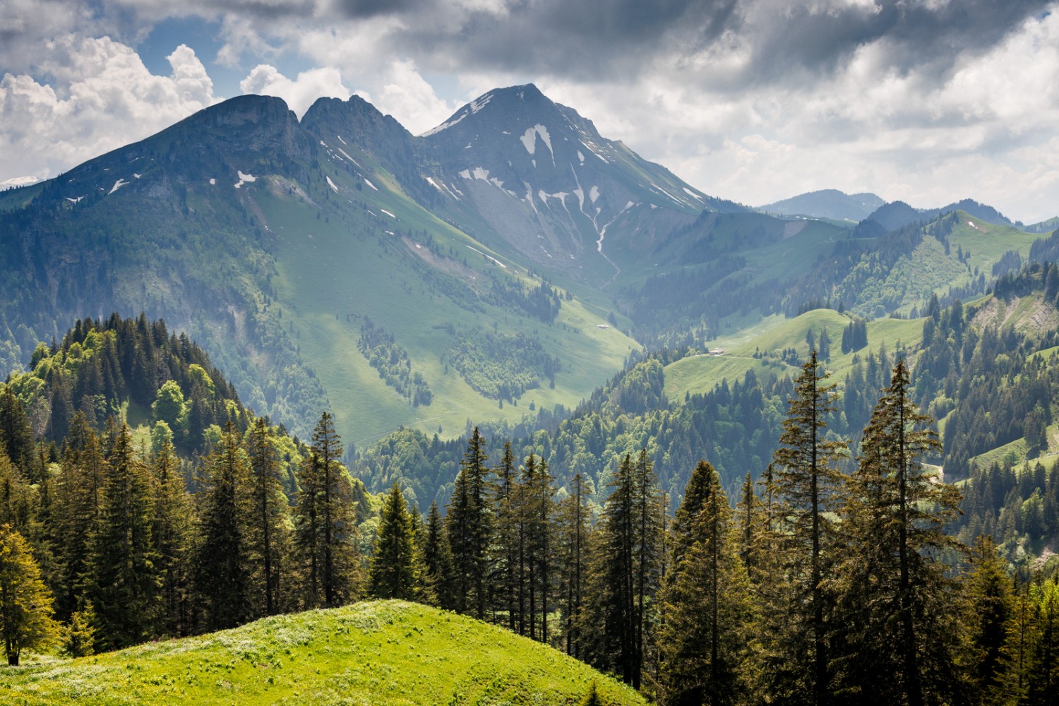 Auf dem Gros-Moléson Rast zu machen und die grüne Umgebung in sich aufzunehmen, tut gut. Bild: Severin Nowacki