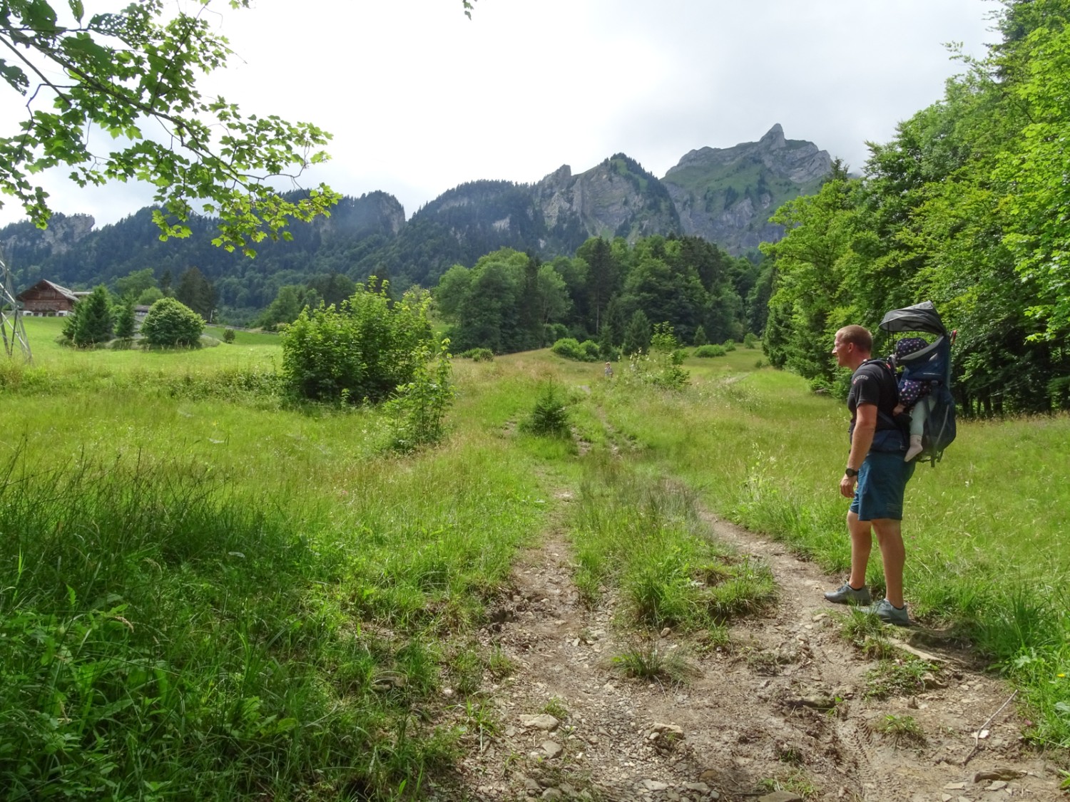 Kurz nach Schwandi; im Hintergrund der Pilatus. Bild: Daniela Rommel