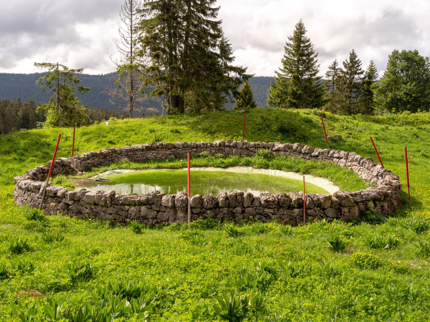 Trockenmauern schützen ein Wasserreservoir am Wanderweg oberhalb Rionde Dessous. Bild: Severin Nowacki