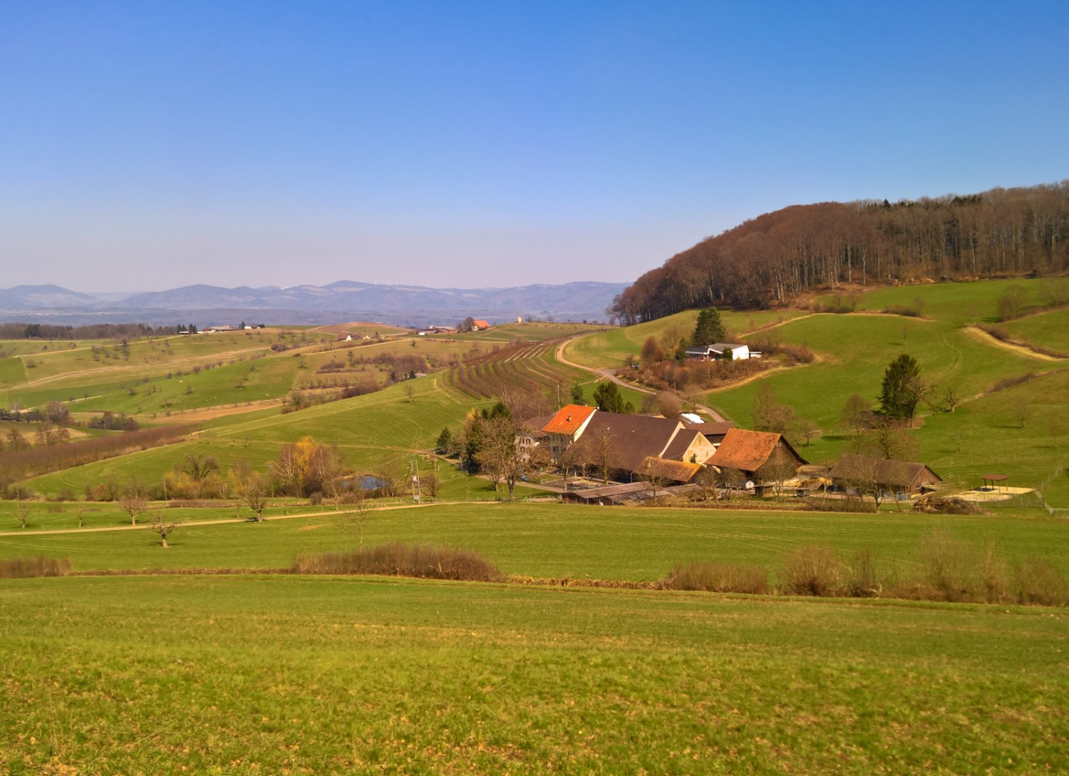 Sanftes Hügelland. Bild: Andreas Staeger