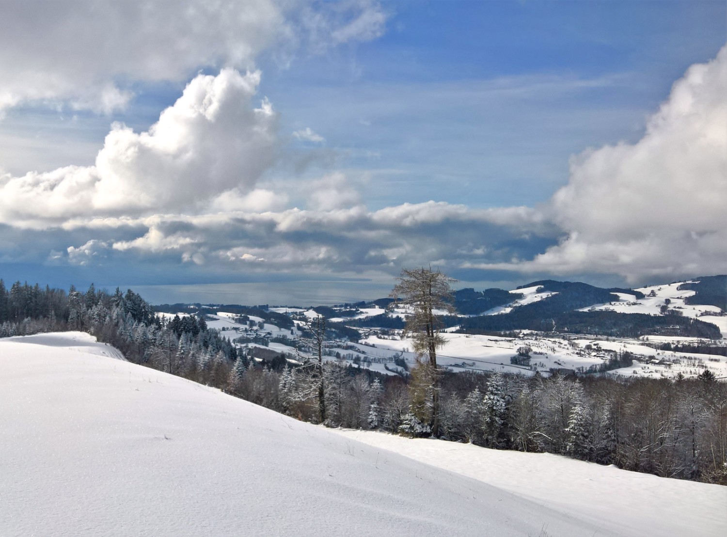 Ausblick vom Mont Chesau nach Westen zum Genfersee. Bild: Andreas Staeger