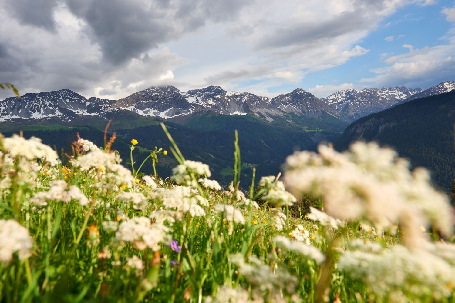 @Arosa Tourismus