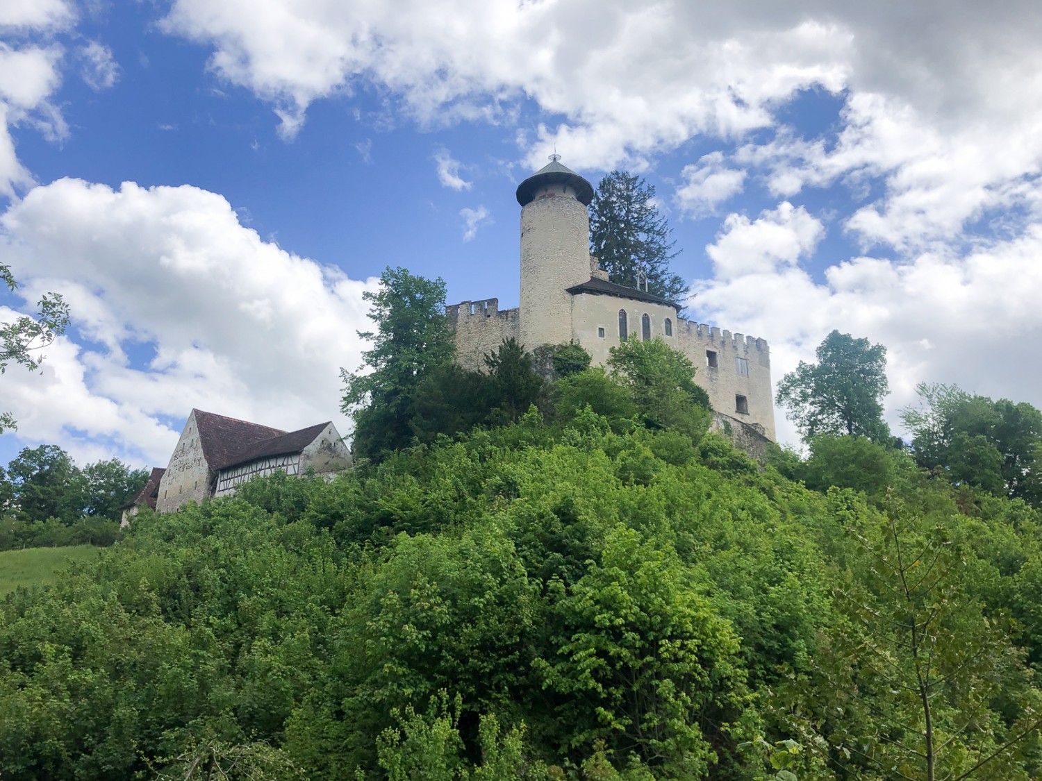 Il castello di Birseck si erge su uno sperone di montagna. Foto: Thomas Gloor