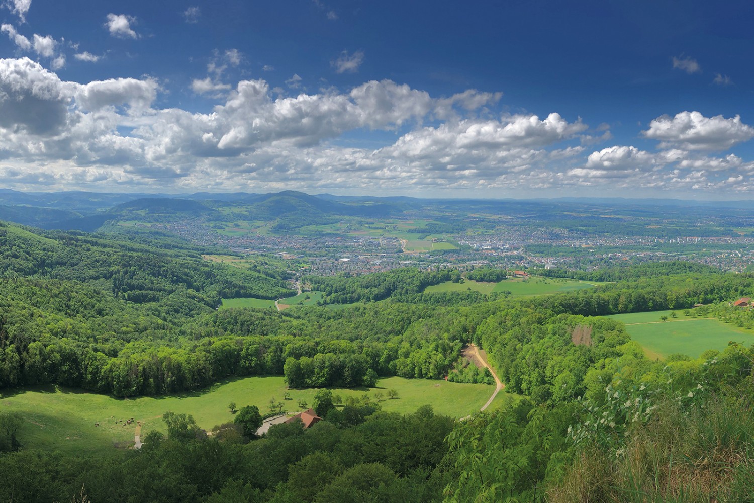 Veduta dalla Schartenflue su Dornach in direzione della Francia. Foto: Thomas Gloor