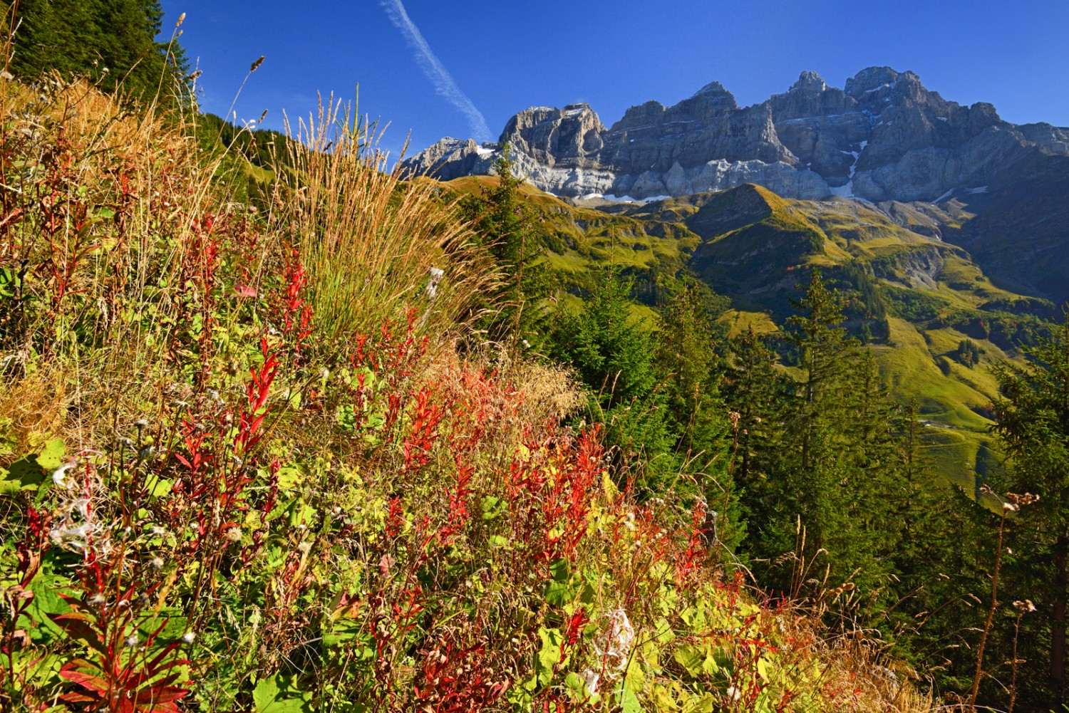 Dents du Midi à l’arrière-plan, dans la région d’Antème. Photo: natur-welten.ch