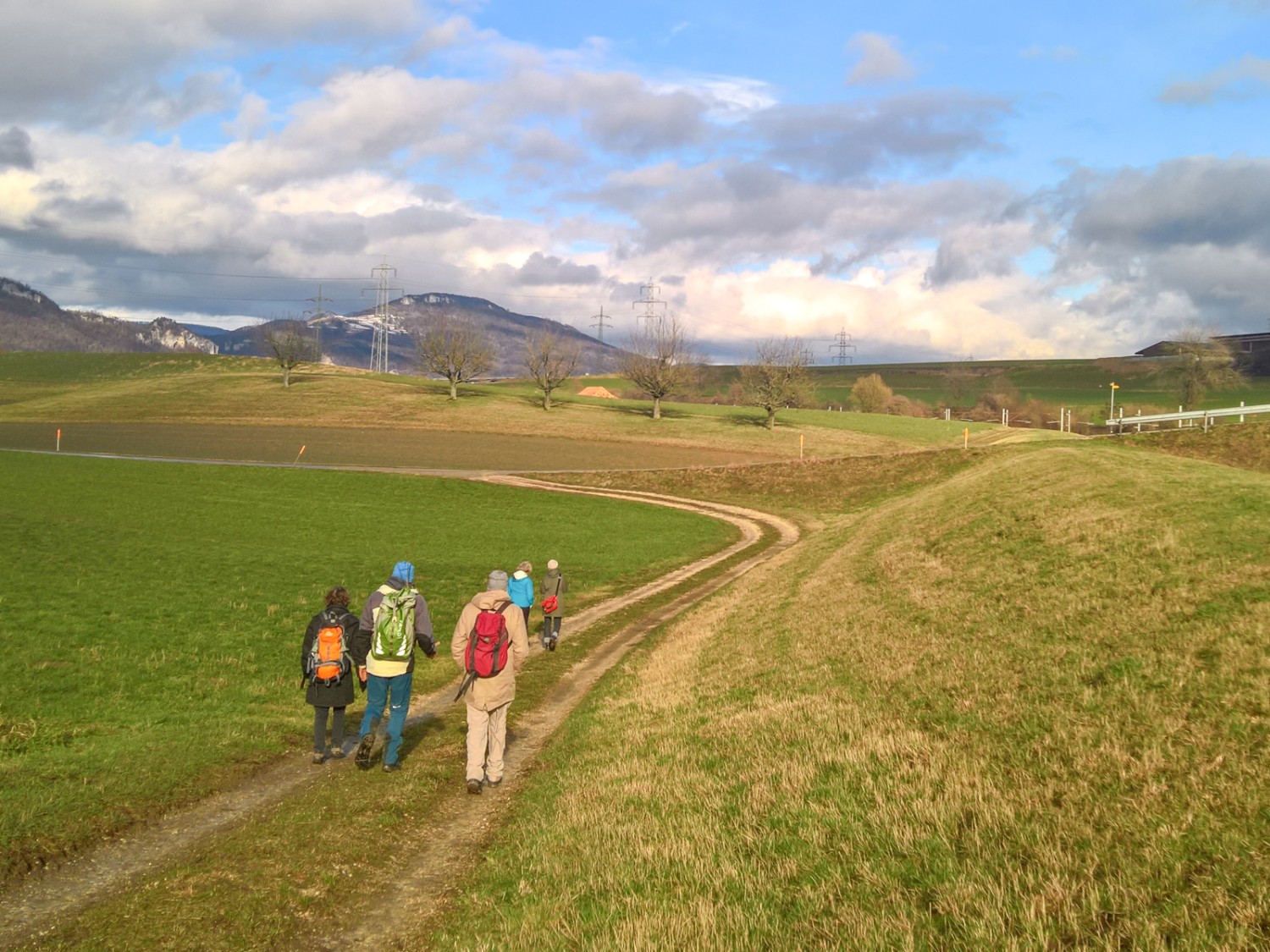 Eine Wandergruppe auf dem Weg von Oberbipp zum Längwald. Bild: Andreas Staeger