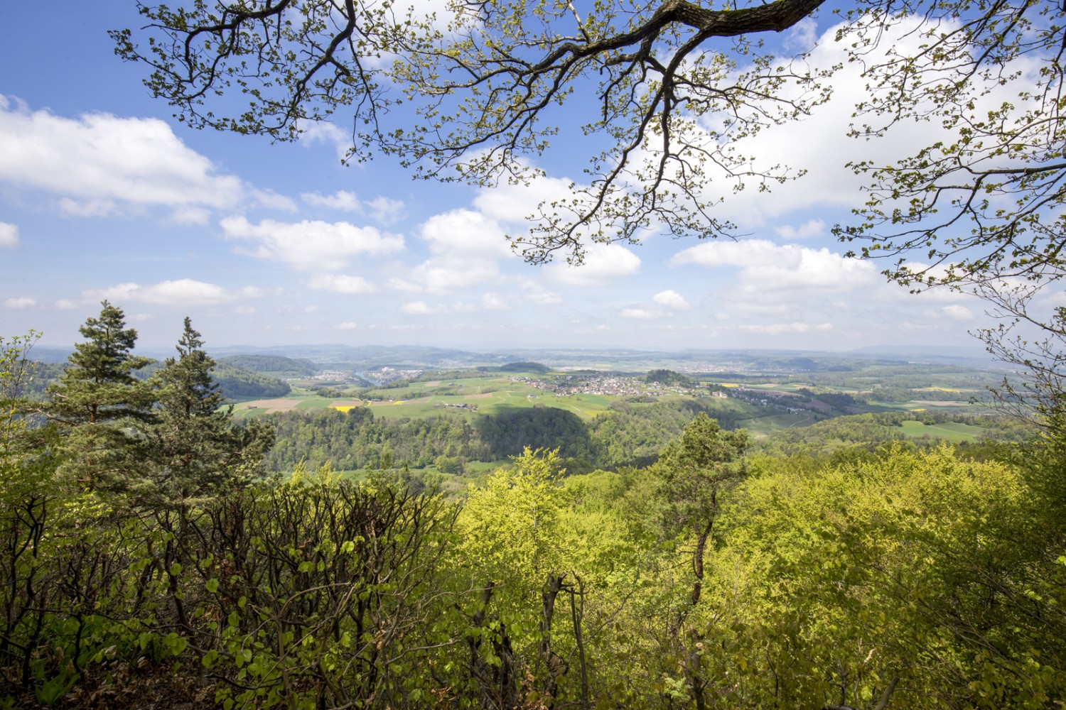 Vue depuis la Hochwacht sur le Weinland, le Rhin et le paysage alluvial de la Thur jusqu’au Randen et à la Forêt-Noire. Photo: Daniel Fleuti