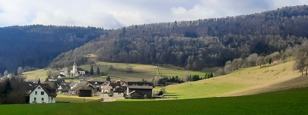 Merishausen