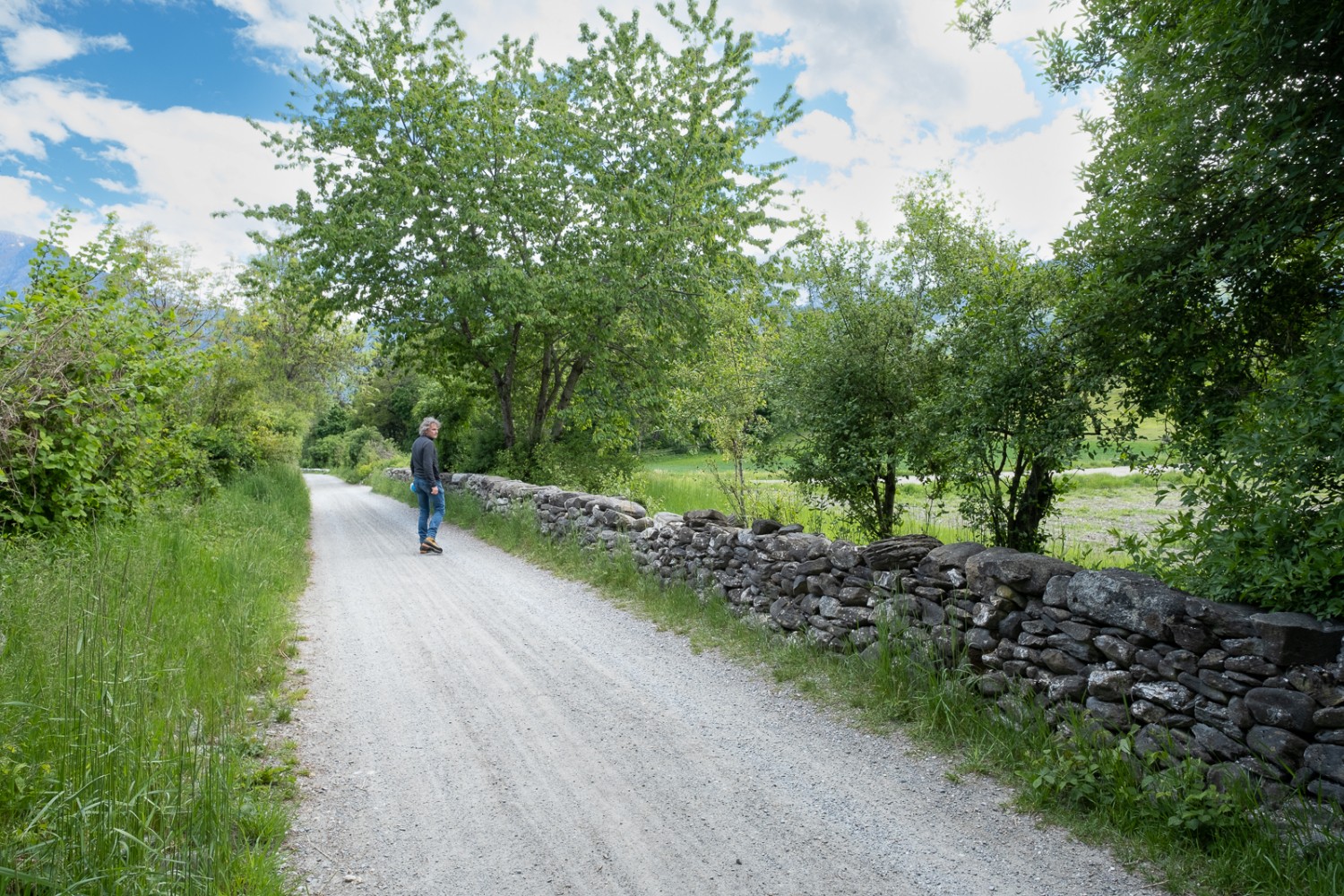 Trockensteinmauern säumen einen grossen Teil des Wanderwegs. Bild: Markus Ruff