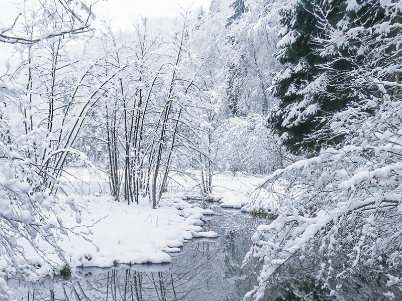 Stilles Wasser, dunkle Tiefe – der Egelsee übt auch im Winter einen etwas unheimlichen Reiz aus. Bild: Andreas Staeger