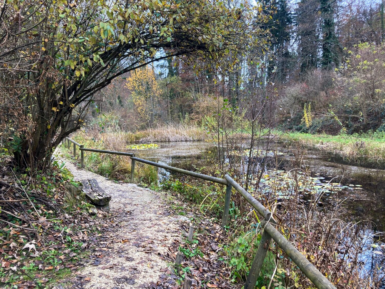 Der Weg entlang der Teiche in der Herzogematt ist kein offizieller Wanderweg.