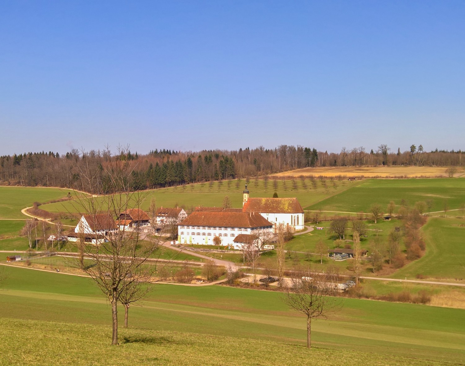 Das ehemalige Zisterzienserinnenkloster Olsberg. Bild: Andreas Staeger