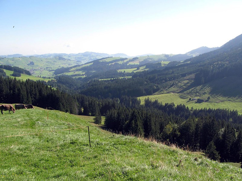 Aussicht von der Alp Blattendürren nach Gonten. Bild: appenzell.ch