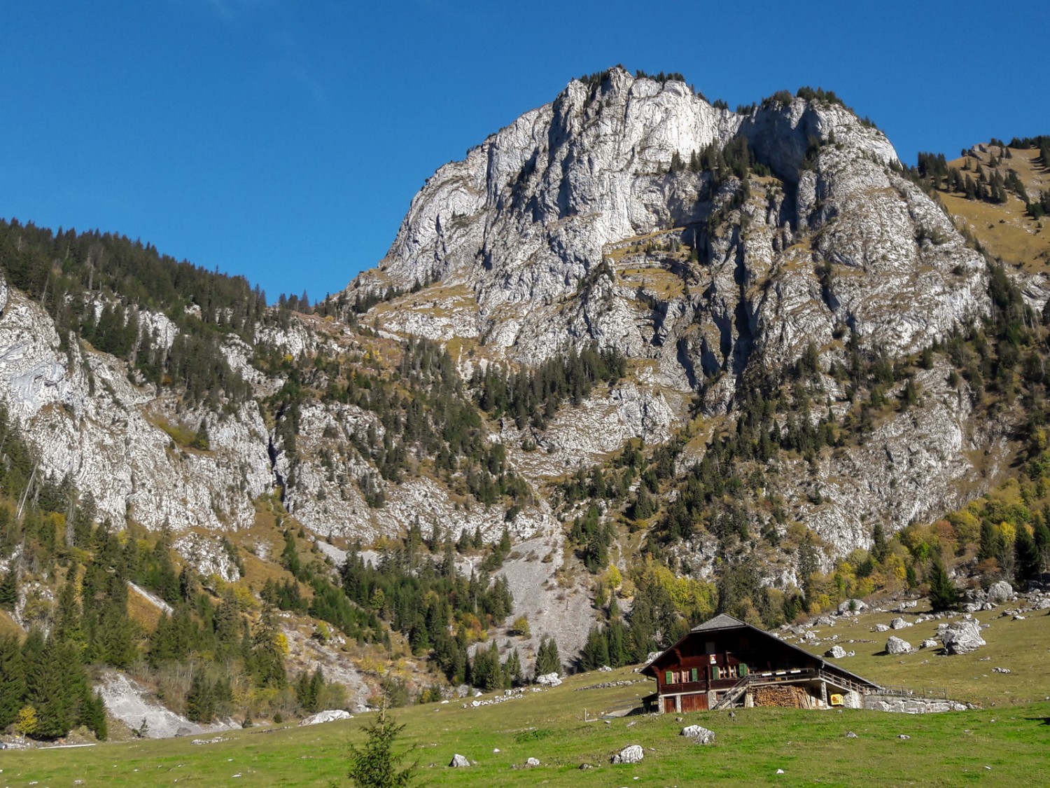 Blick an die Rockschwarteflue, wo der steile Aufstieg durch das Wäldlein wartet. Bild: Patrick Salzmann