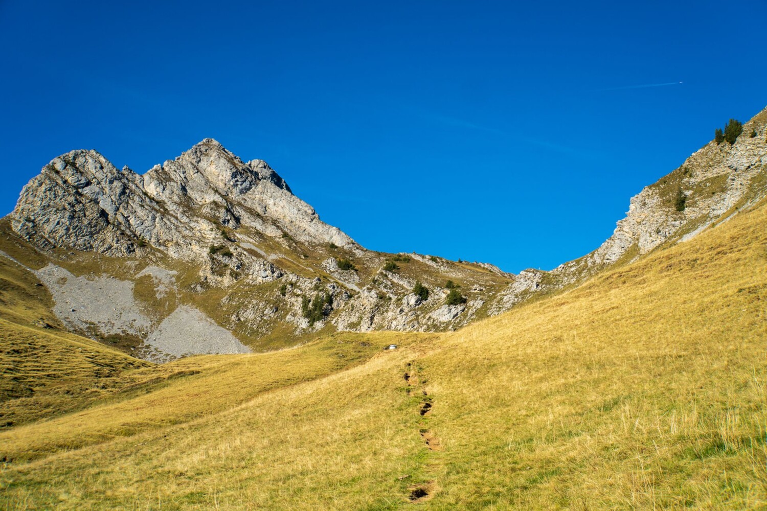 Un chemin de randonnée de montagne typique mène au col sans nom entre Wiriehore et Tierlaufhore.