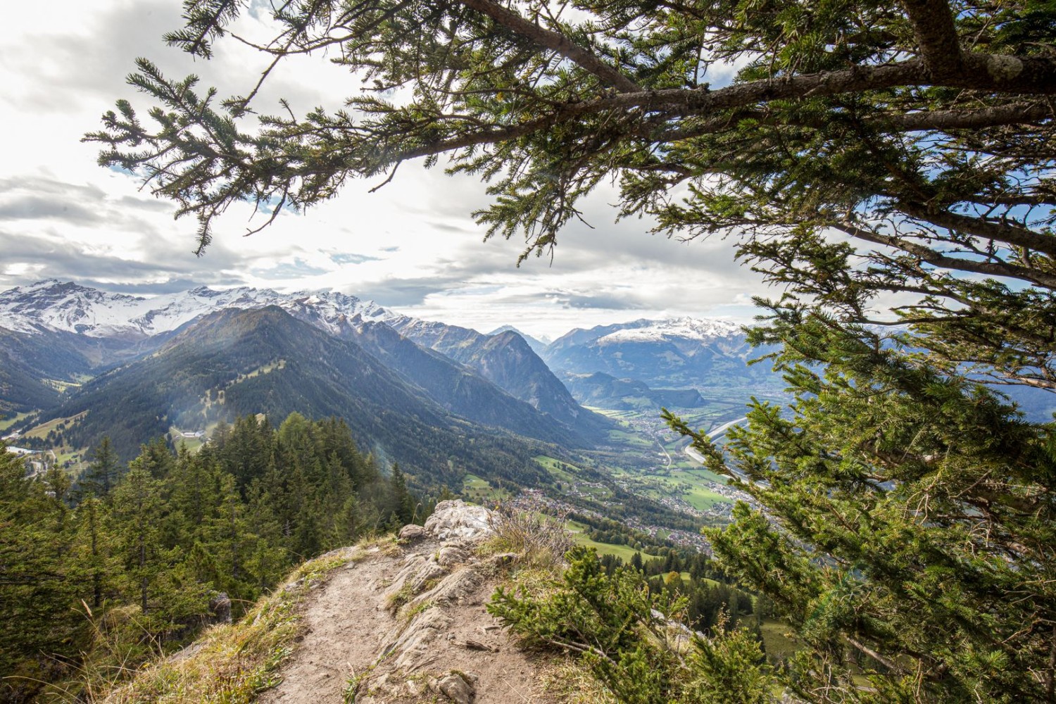 Aussicht auf das Rheintal.