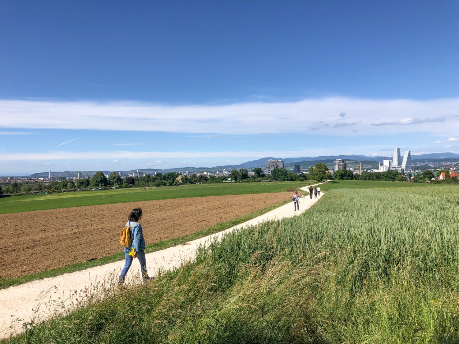 Primavera allo stato puro: lungo il sentiero che conduce a Basilea passando per la località di «Acht Jucharten». Foto: Thomas Gloor