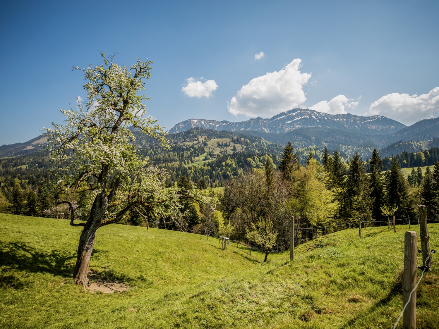 Blick in Richtung Riseteflue. Bild: Wanderblondies