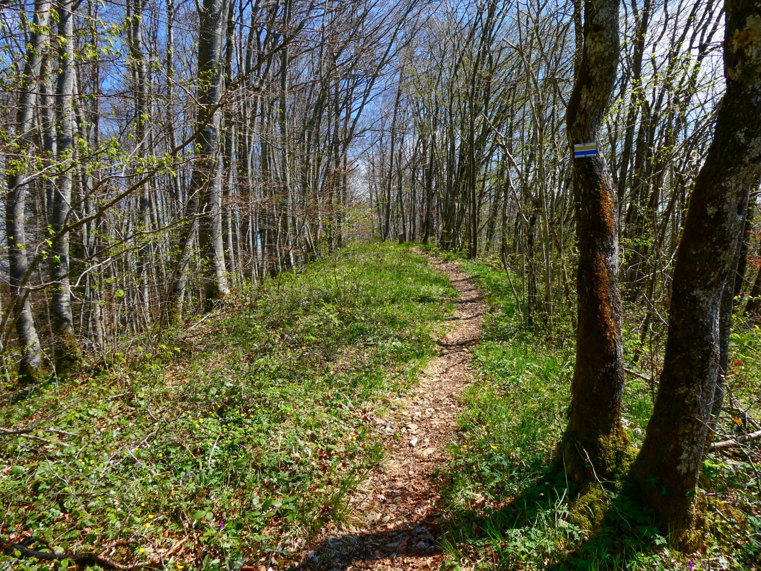 Der Weg führt bei Charbonnière entlang der französisch-schweizerischen Grenze. Bild: Rémy Kappeler