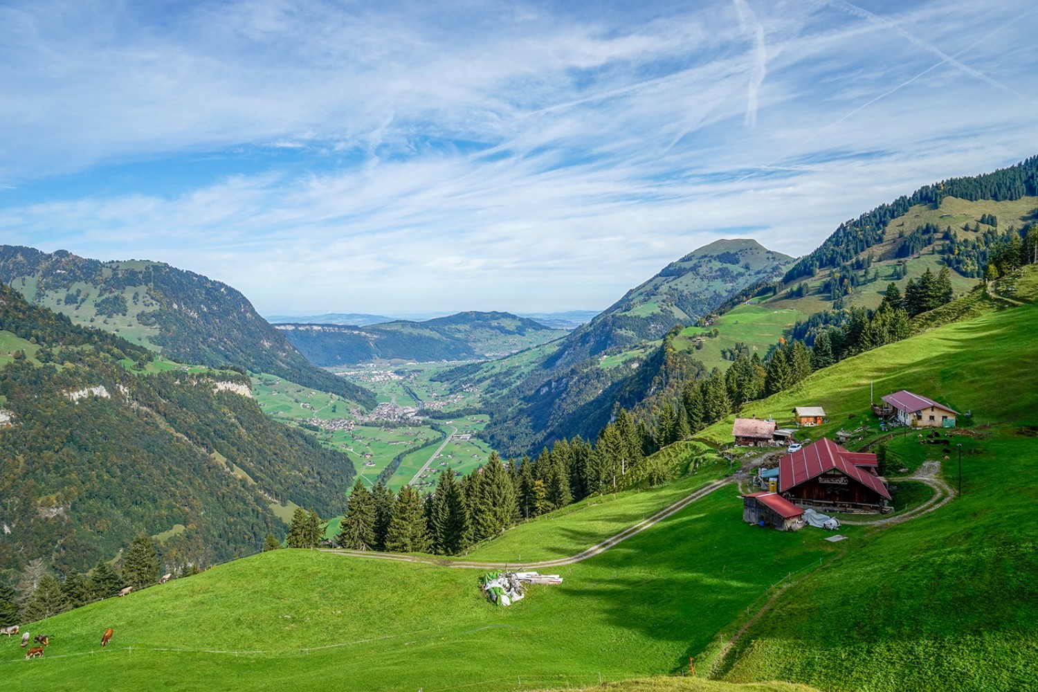 Aussicht vom Wellenberg durch das Engelbergertal zum Bürgenstock (mitte) und zum Buochserhorn (rechts).
Bilder: Fredy Joss