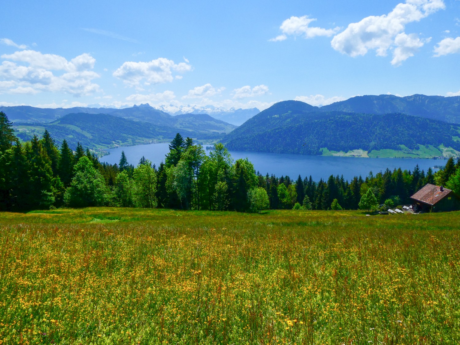 Vue majestueuse sur le lac d’Ägeri.
Photo: Rémy Kappeler