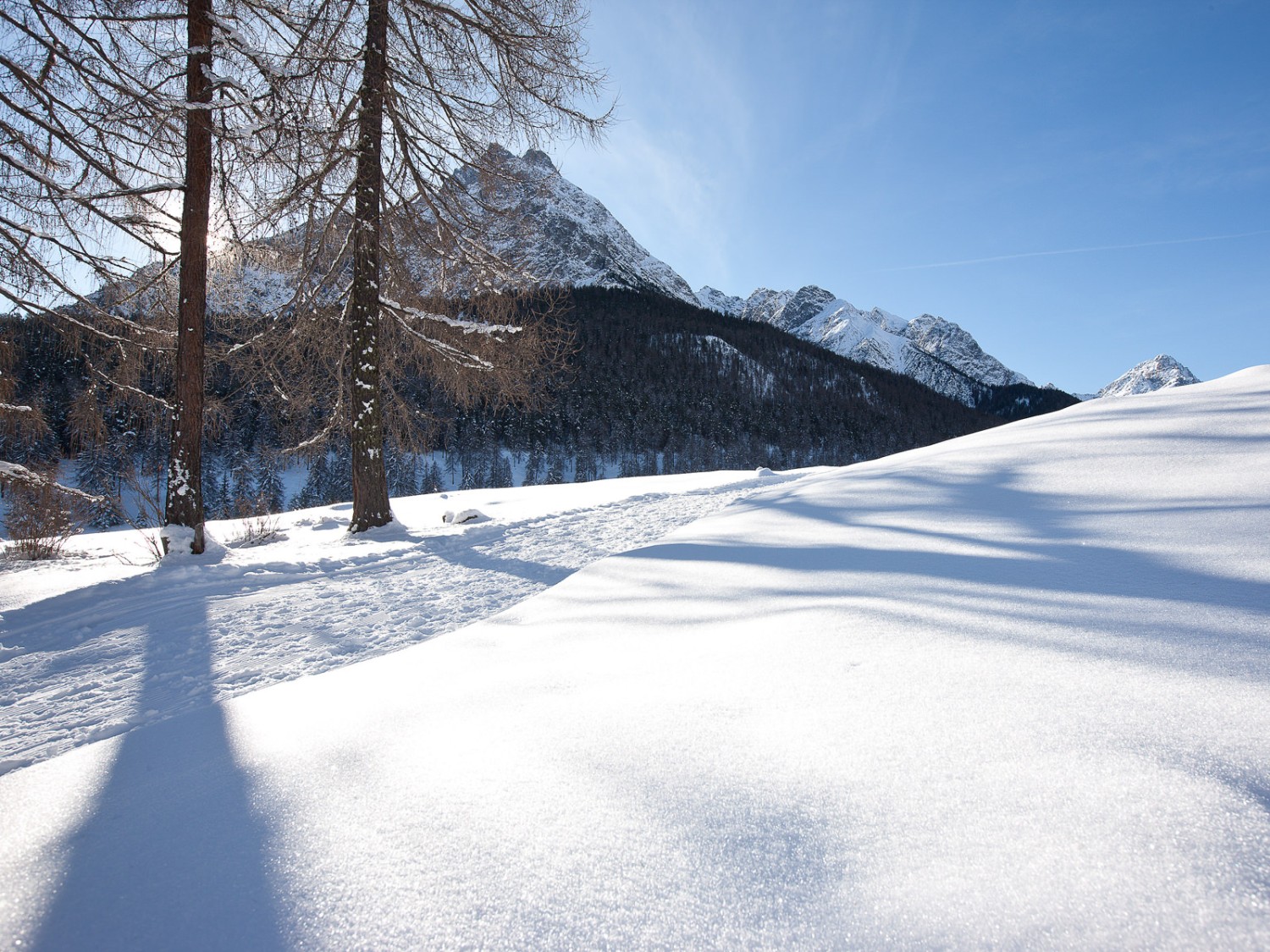 Der Unterengadiner Abschnitt der Via Engiadina dürfte einer der längsten Winterwanderwege der Schweiz sein. Foto: Engadin Tourismus