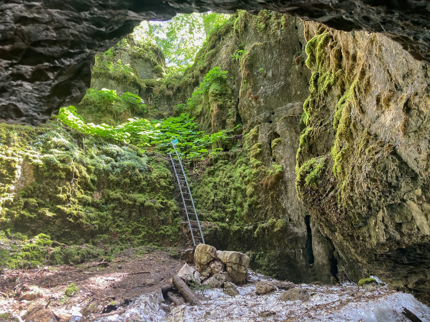 Depuis la grotte, vue sur l’échelle. Photo: Anna Kocher