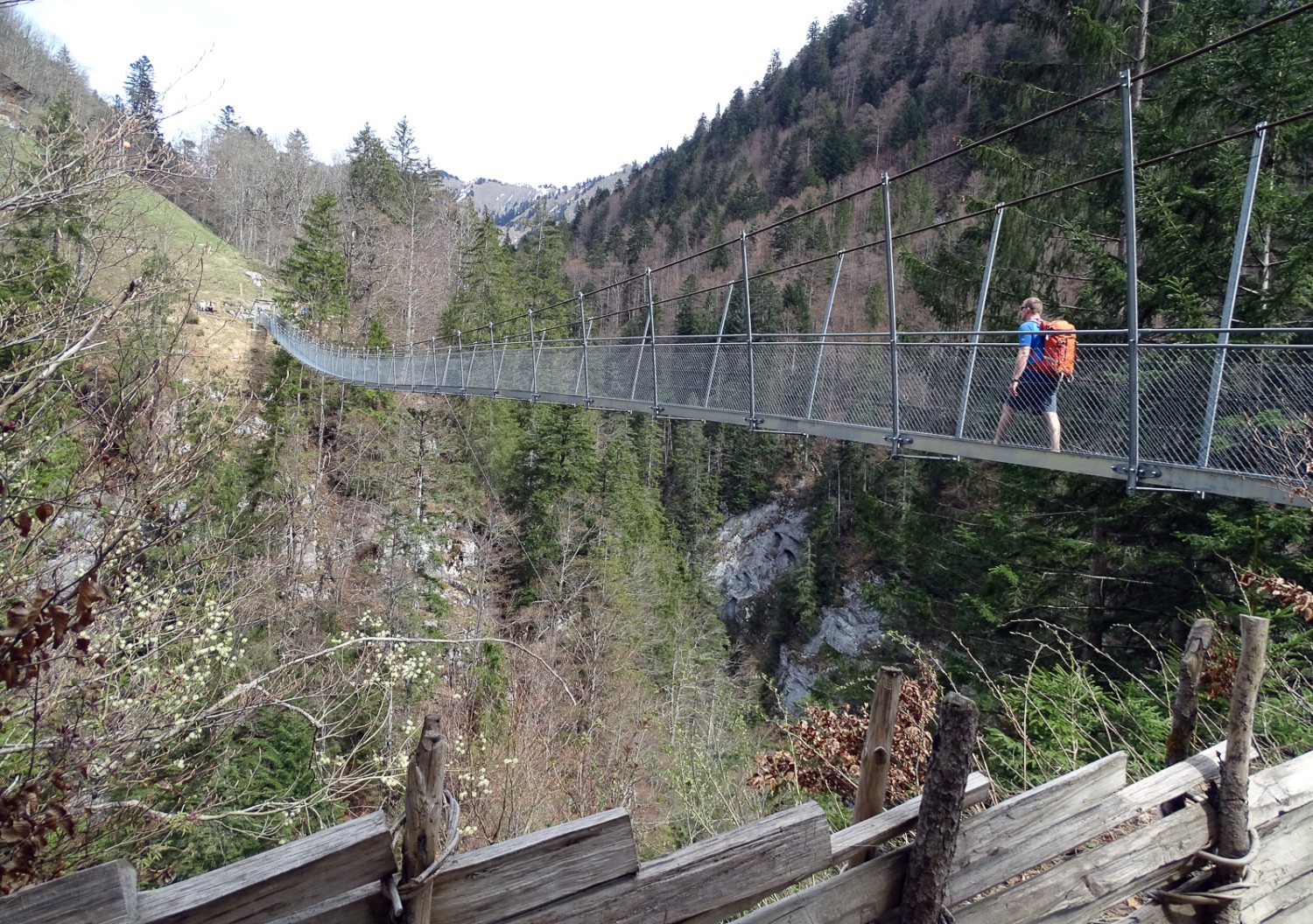 Il ponte sospeso Leiterweide, da cui si gode una vista vertiginosa, attraversa la gola del Buuschebach.