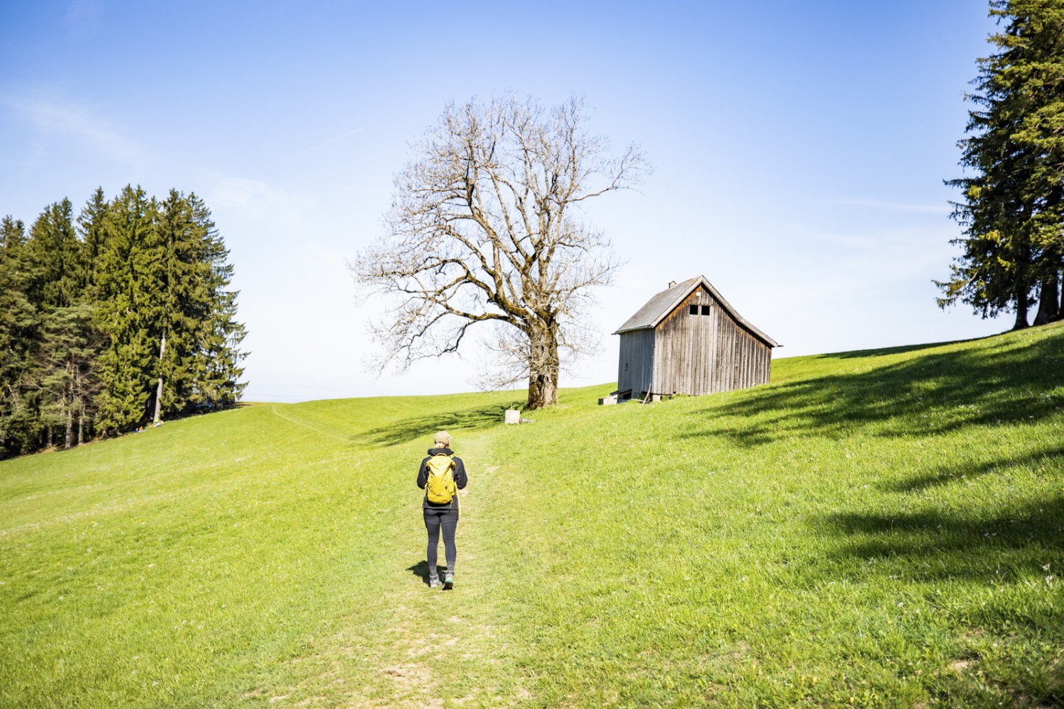 Typique d’Appenzell: une randonnée par monts et par vaux. Photo: Wanderblondies