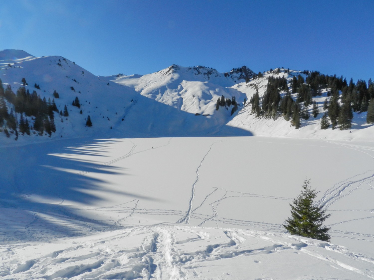 Mitten über den frisch verschneiten Oberstockensee führt eine Schneeschuhspur. Bilder: Patricia Michaud