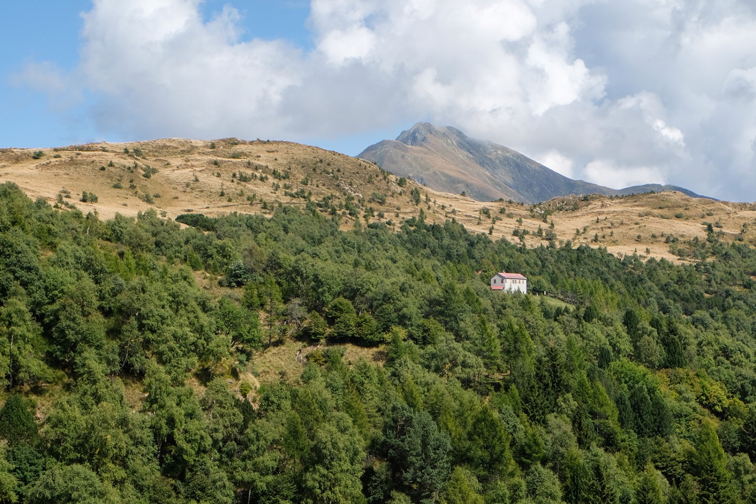 La strada alta dall’Alpe di Cottino al Monte Bar si snoda lungo il confine tra bosco e prateria.