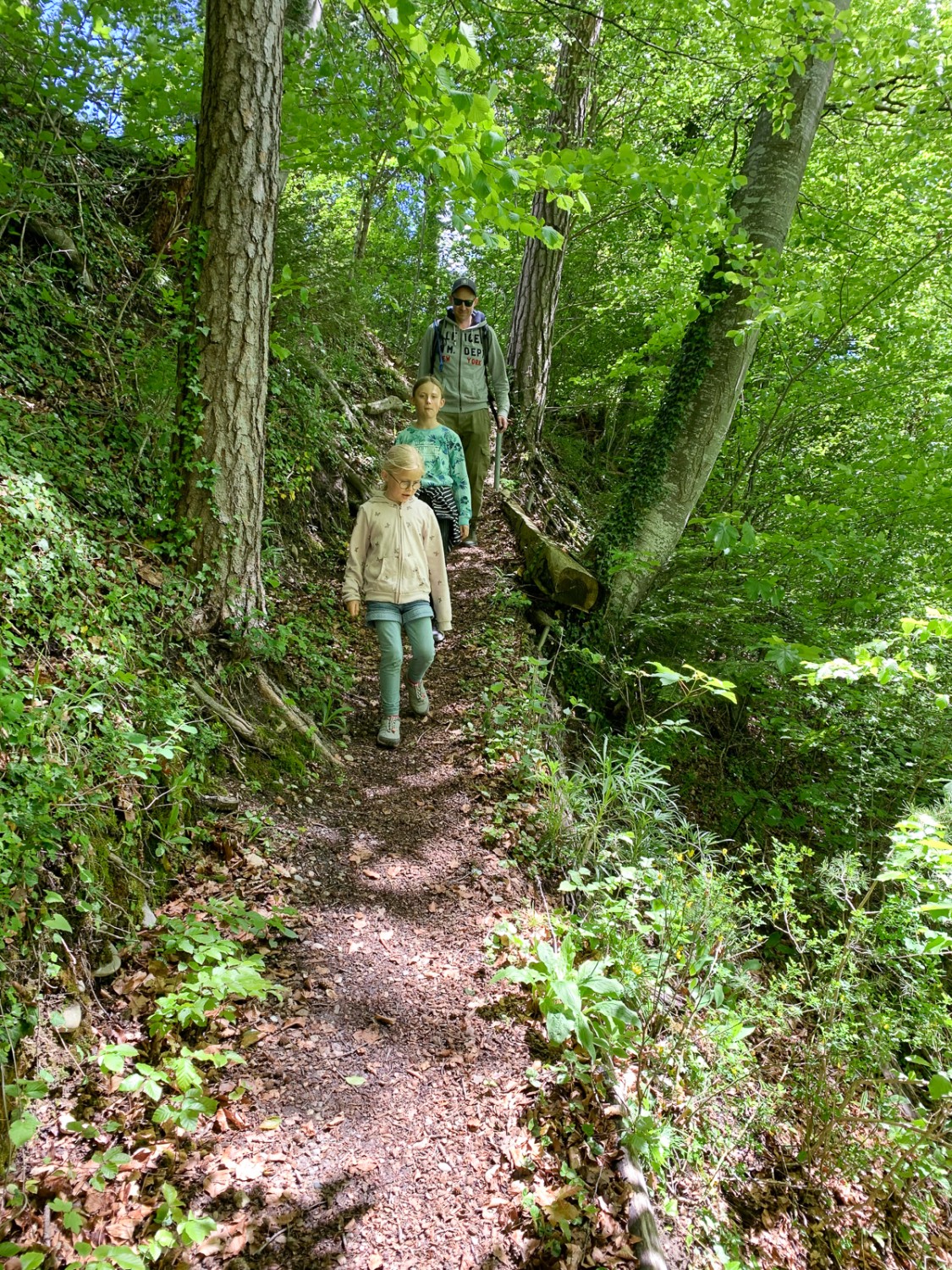 Basta percorrere un breve e ripido tratto in discesa di uno stretto sentiero per arrivare al monastero di Hauterive. Foto: Monika Leuenberger