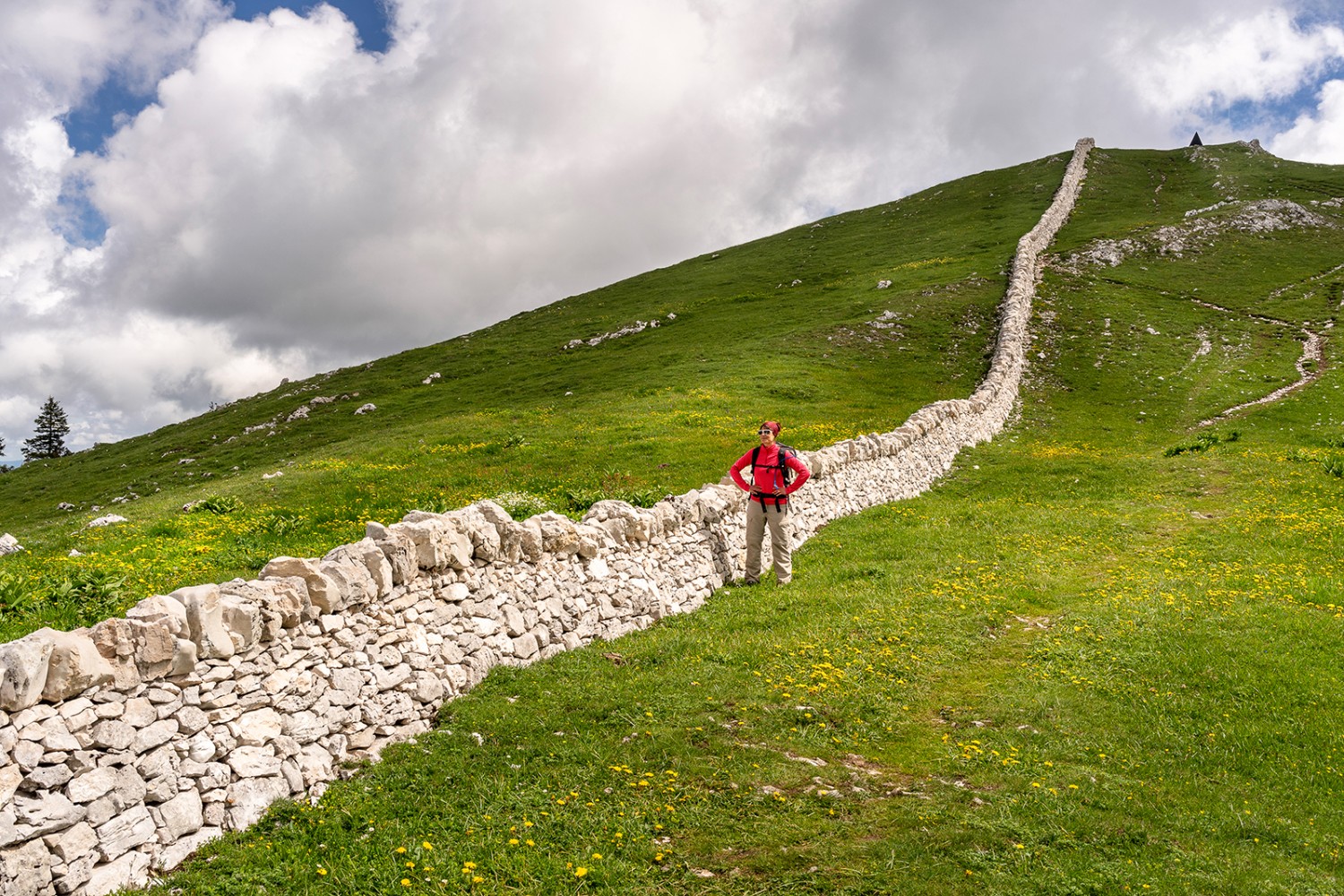 Trockenmauern prägen die Landschaft des Juras – hier am Mont Tendre. Bild: Severin Nowacki