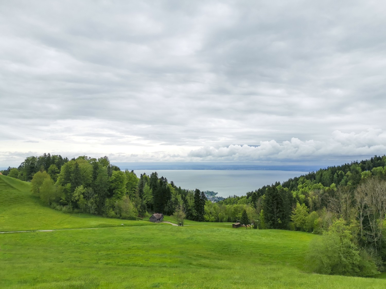 Blick zurück zum Bodensee. Bild: Evelyne Zaugg