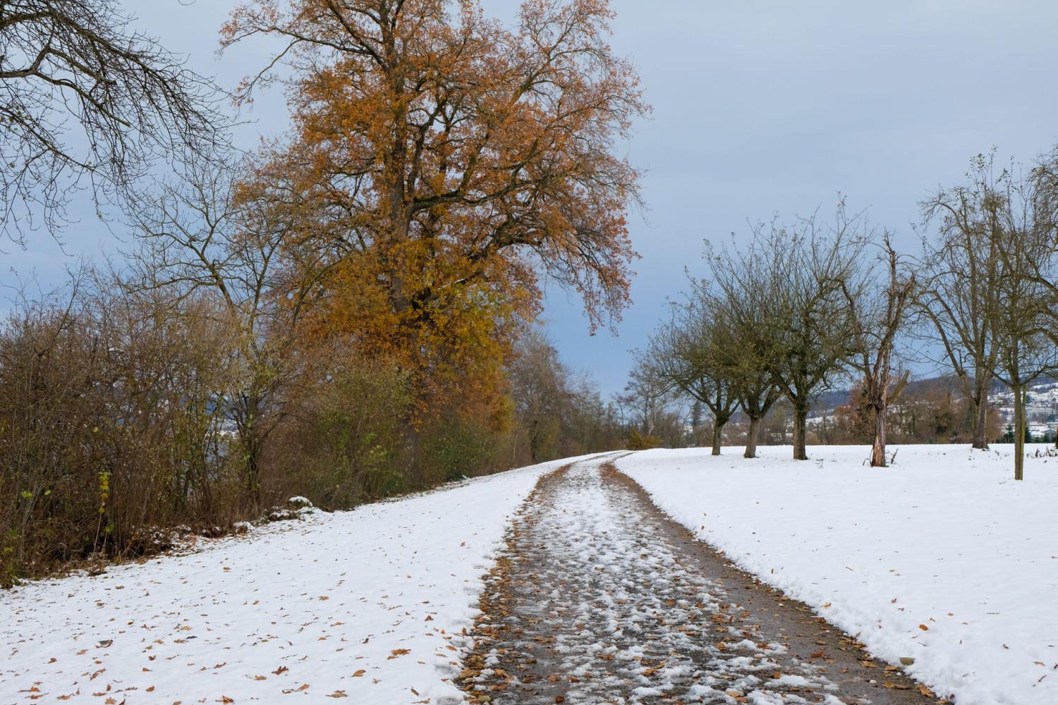 Der Weg dem Baldeggersee entlang ist grosszügig angelegt.