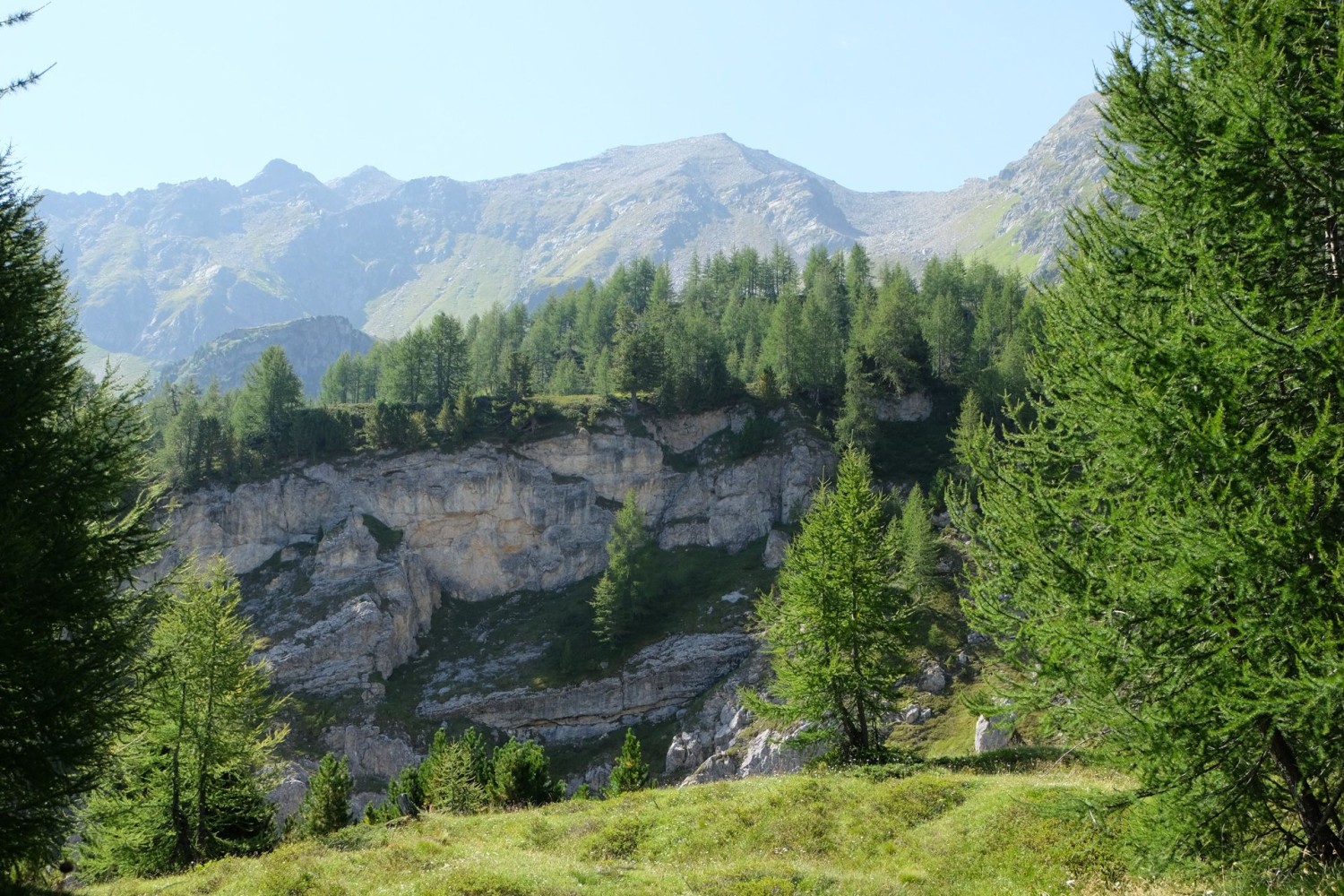 Il sentiero, ancora costeggiato da alberi, sale ora sopra la gola del Ri di Larècc.