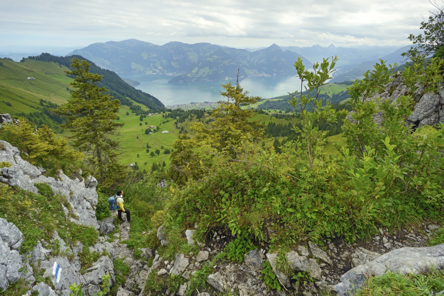 Wanderung mit Sicht auf die Beckenrieder Alpen und den Vierwaldstättersee. Bild: natur-welten.ch