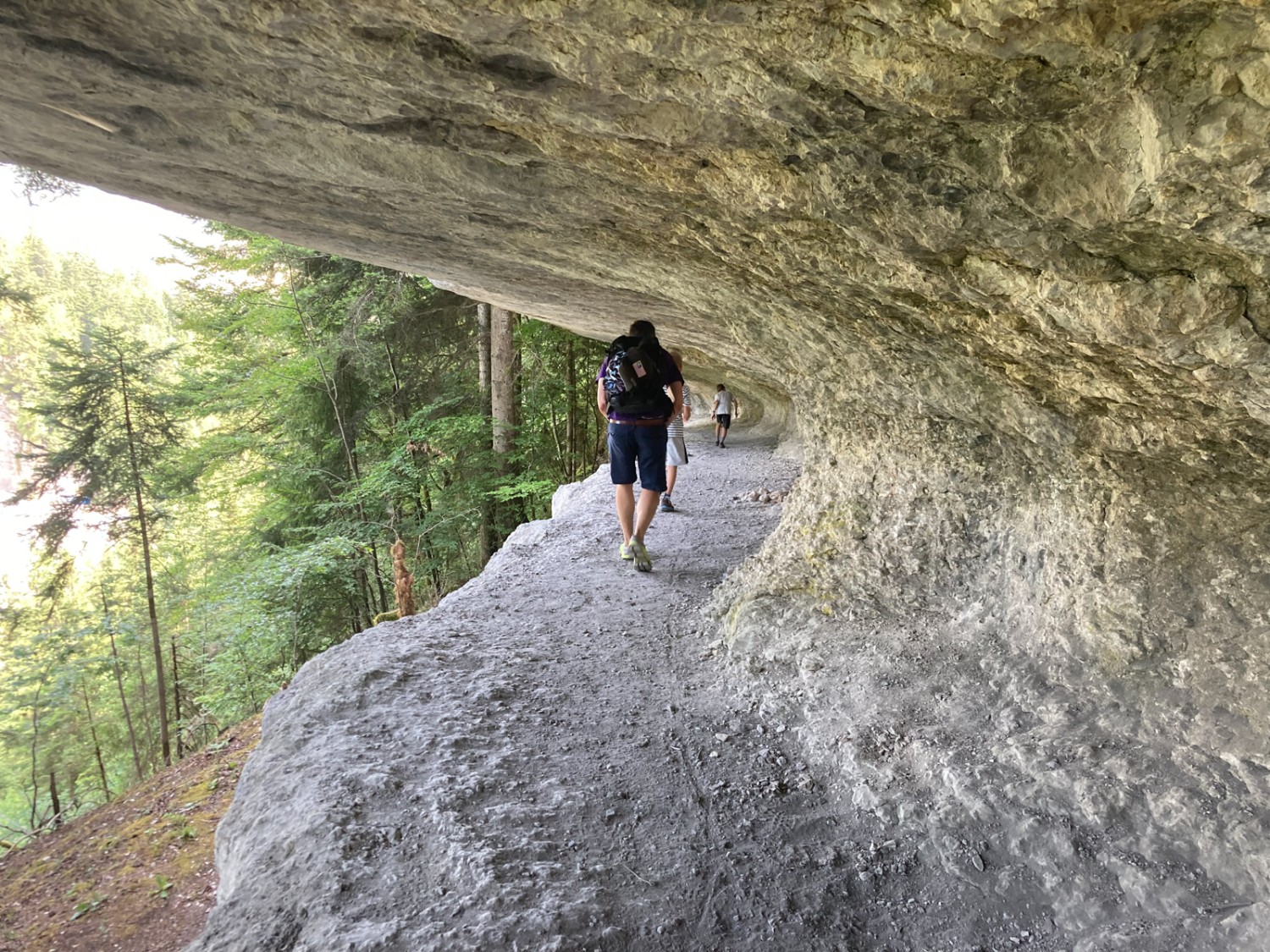 Le «Corridor aux loups»: une couche plus tendre était enserrée entre deux couches dures. L’eau d’infiltration a davantage creusé la pierre tendre que la roche dure. Photo: Anna Kocher