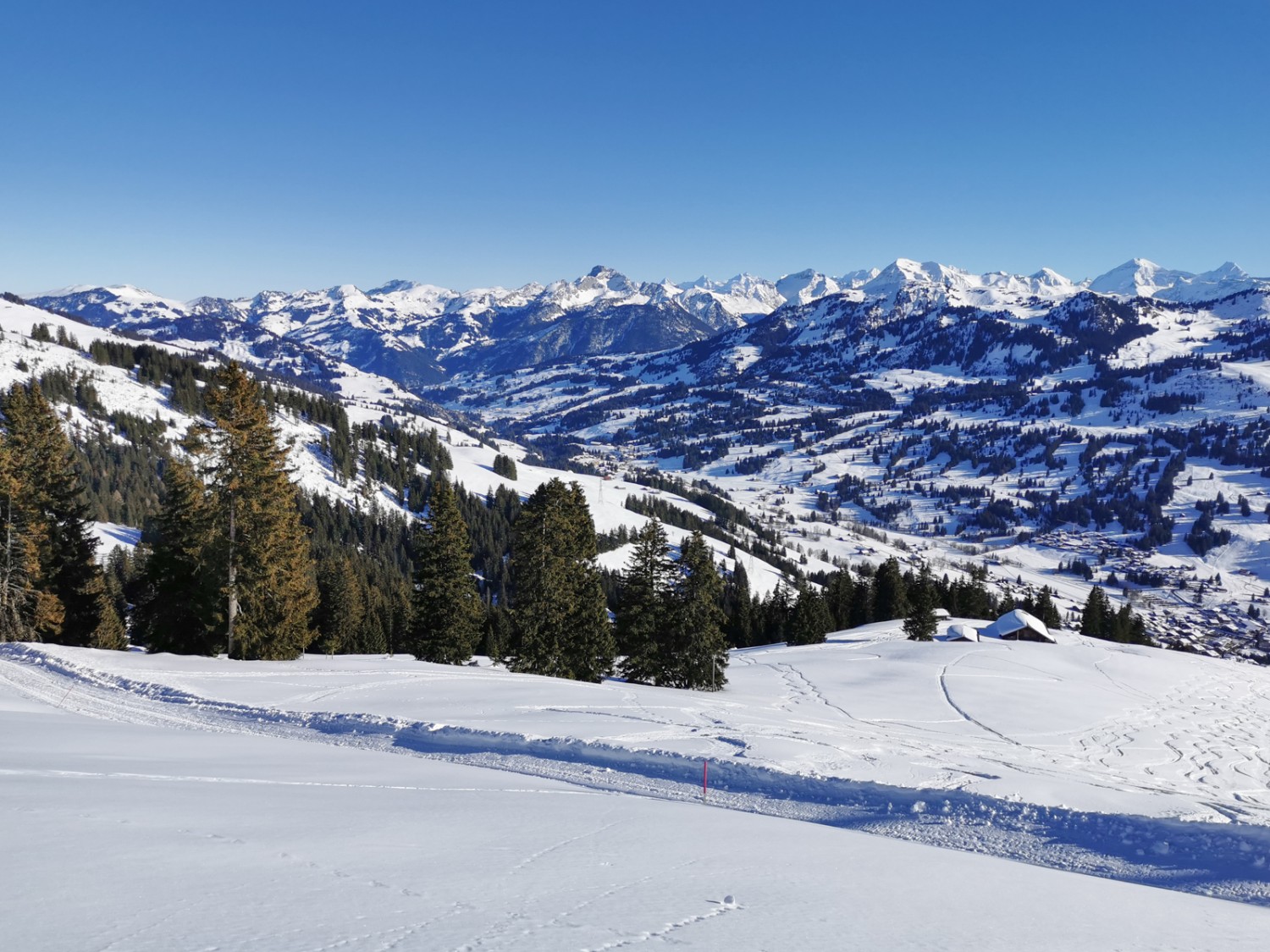 Vue du sommet du Rellerli sur le Saanenland. Photo: Andreas Staeger