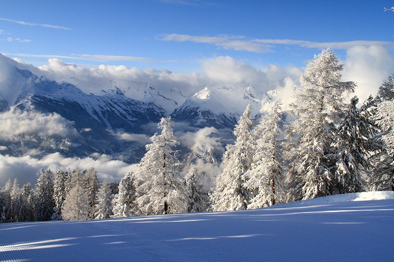 Im Winter glitzern die schneebedeckten Lärchen in der Sonne und sorgen für ein noch beeindruckenderes Panorama.
Bild: Nendaz Tourisme