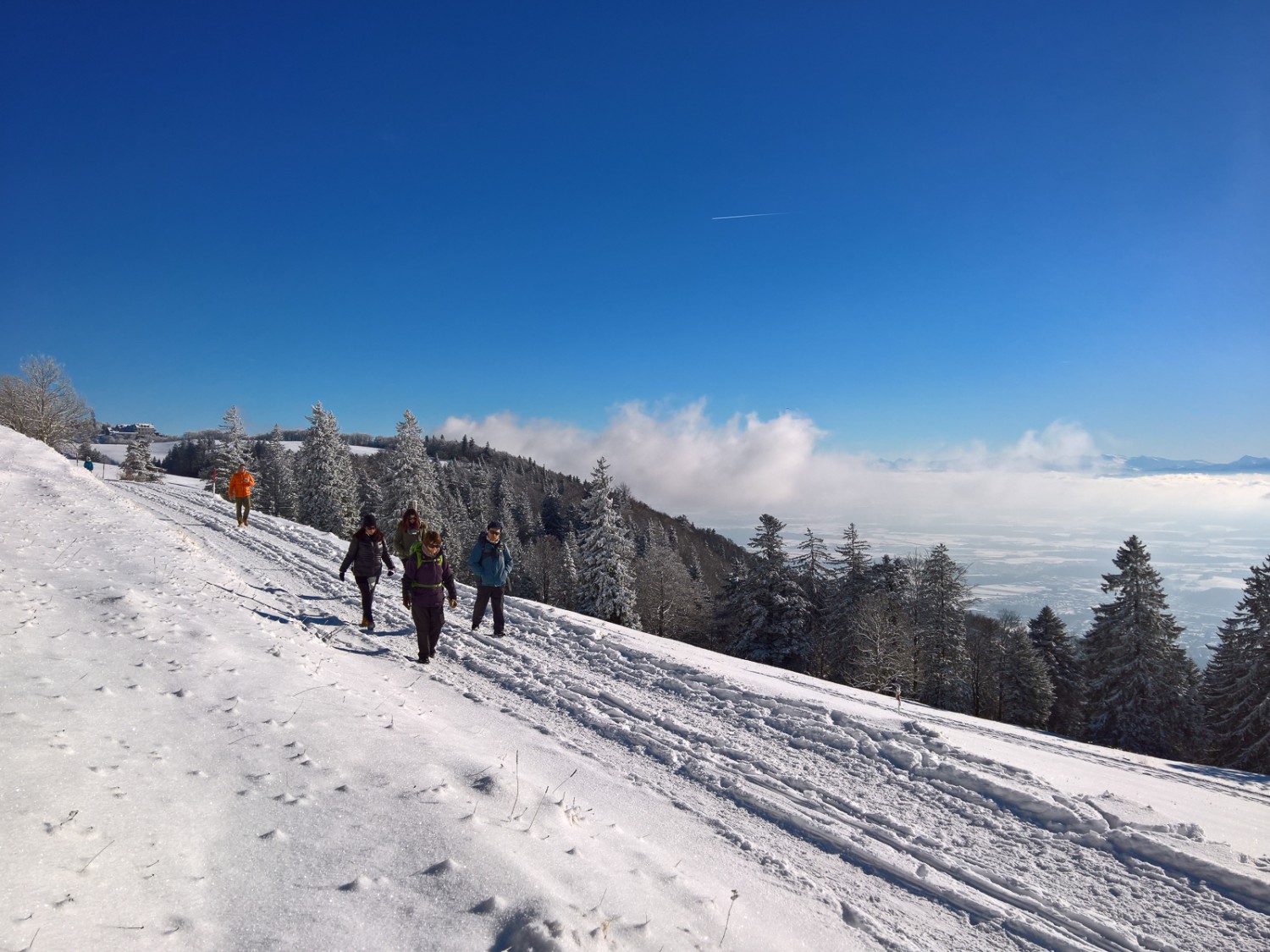 Nebelschwaden über dem Mittelland, Sonne und Schnee in der Höhe: Winterstimmung am Weissenstein. Bilder: Andreas Staeger