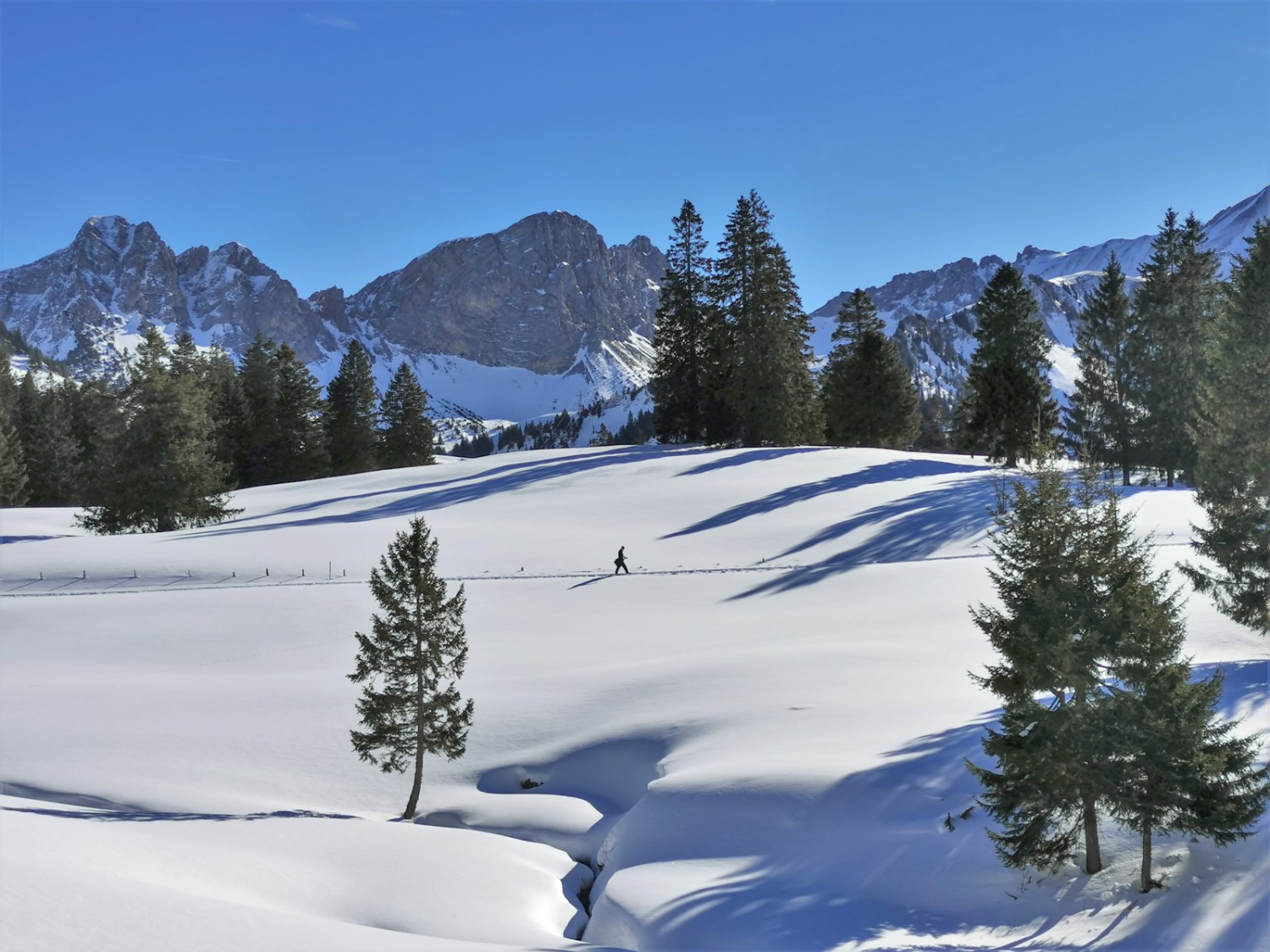 Das verschneite Totmoos, im Hintergrund der Giswilerstock mit Schafnase (links) und Rossflue (Mitte). Bild: Andreas Staeger