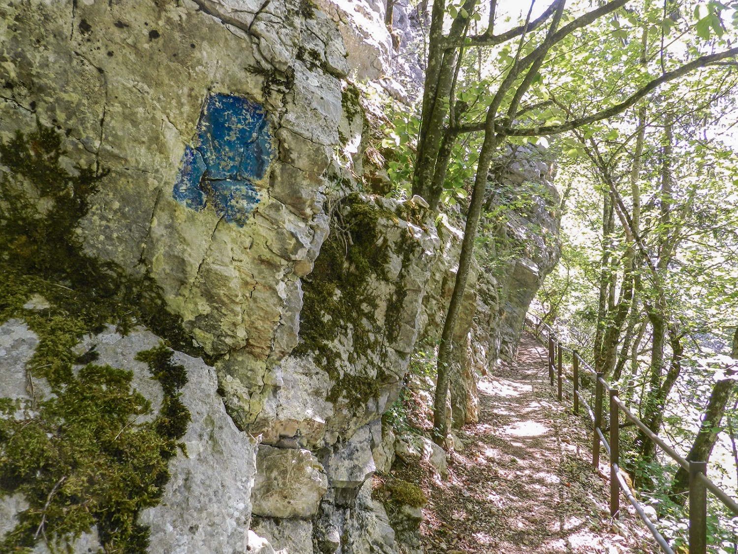 Blaue Rechtecke statt gelber Rhomben: Spuren historischer Markierungen auf dem Weg zwischen Champ-du-Moulin und Chambrelien.