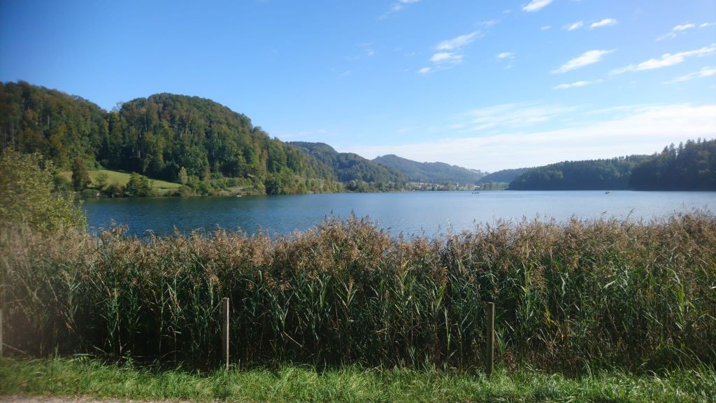 Türlersee