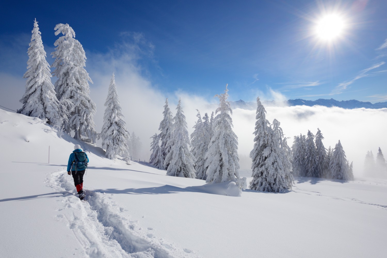 Die Schneeschuhwanderung führt über verschneite Alpen. 