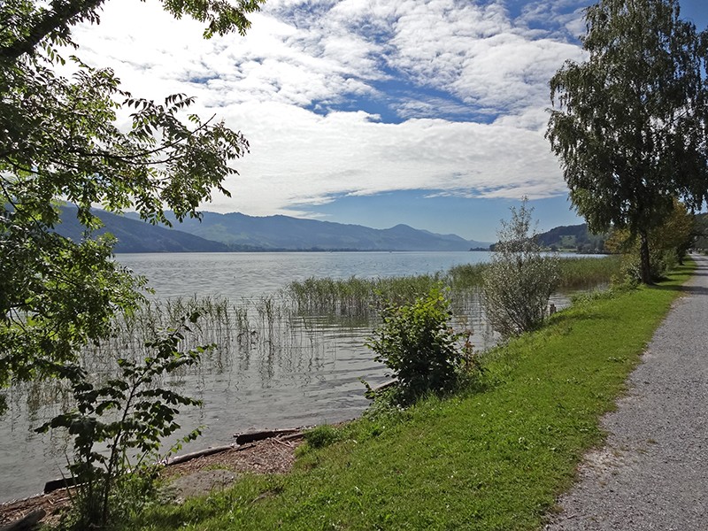 Zauberhafte Stimmung über dem oberen Zürichsee. Bilder: Miroslaw Halaba